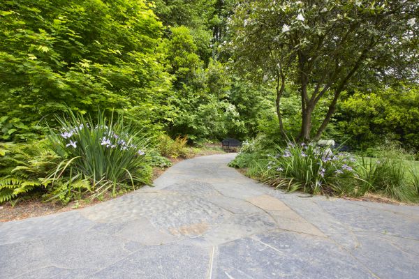 Stone Hardscape Service in Port Orchard